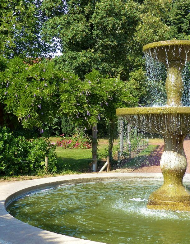 Jardin-botanique © César Desoye