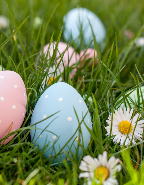 visuel brunch (Publication Instagram (45)) (2)